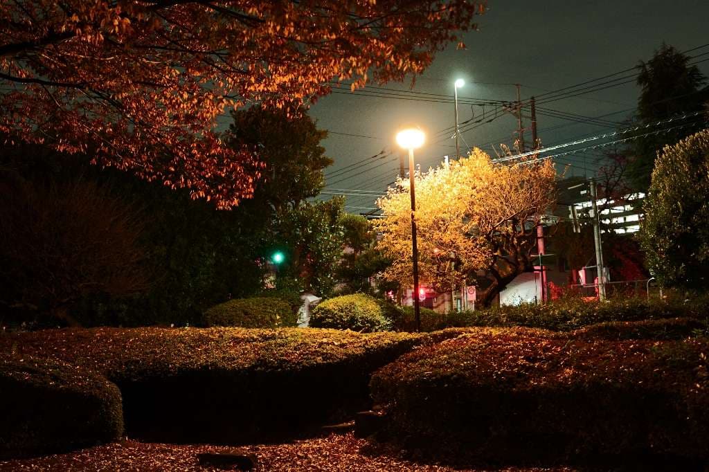 夜の公演 #散歩 - 1