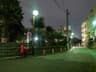 夜の浦和。ロイヤルパインズホテルの裏通り #夜の散歩 thumbnail 3