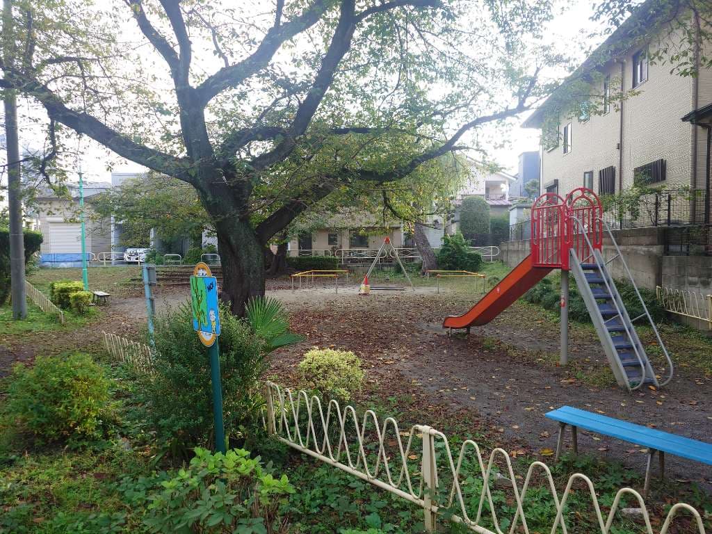 北浦和の裏通り道から北浦和公園まで。朝の通勤通学おつかれさまです！ #北浦和 - 1