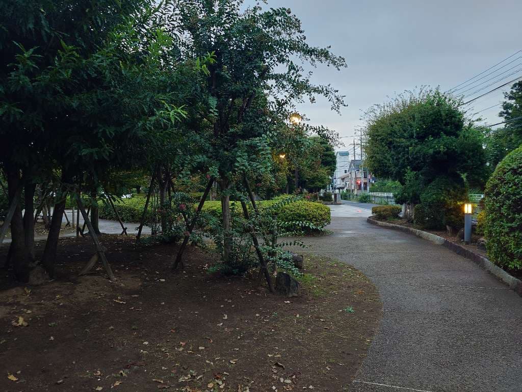 浦和県議会の森。地元の子供たちがたまに遊んでます。人が少ないからゆっくりできる良い場所 - 1