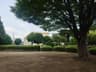 県議会の森 thumbnail 5