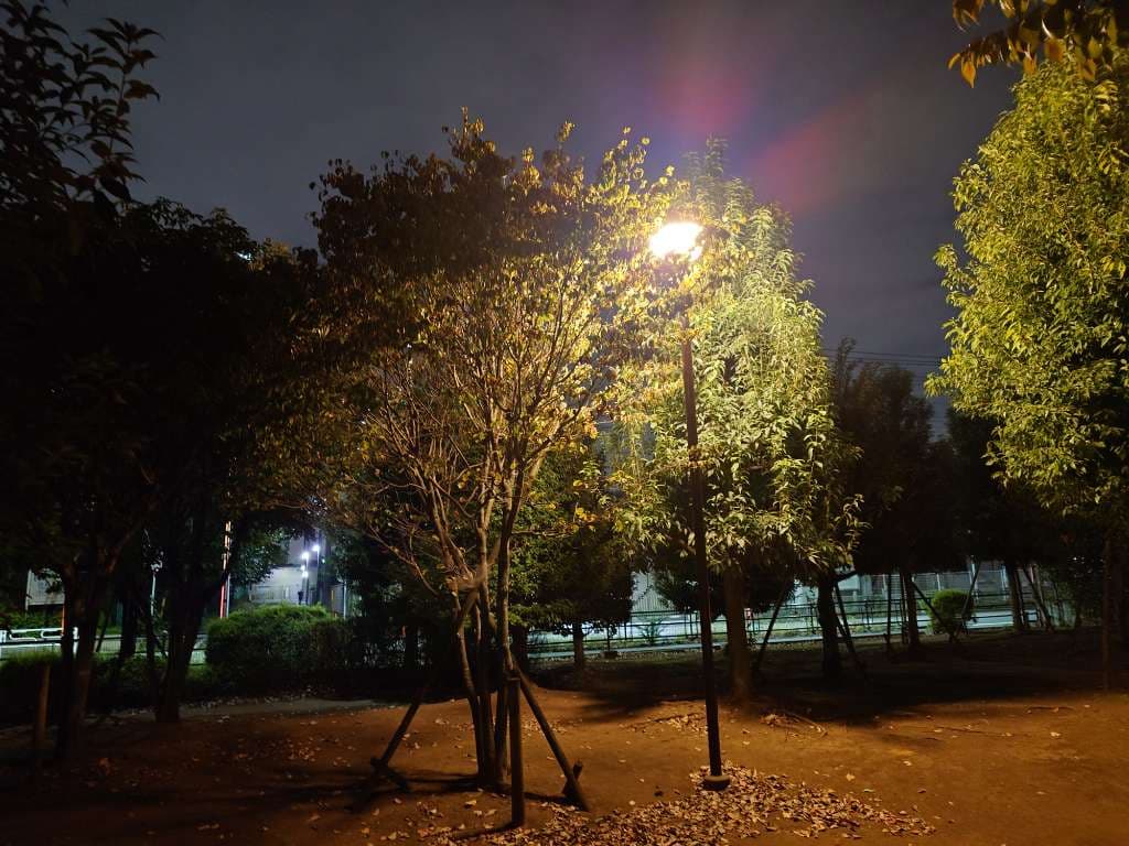 肌寒くなってきました #夜の散歩 - 1